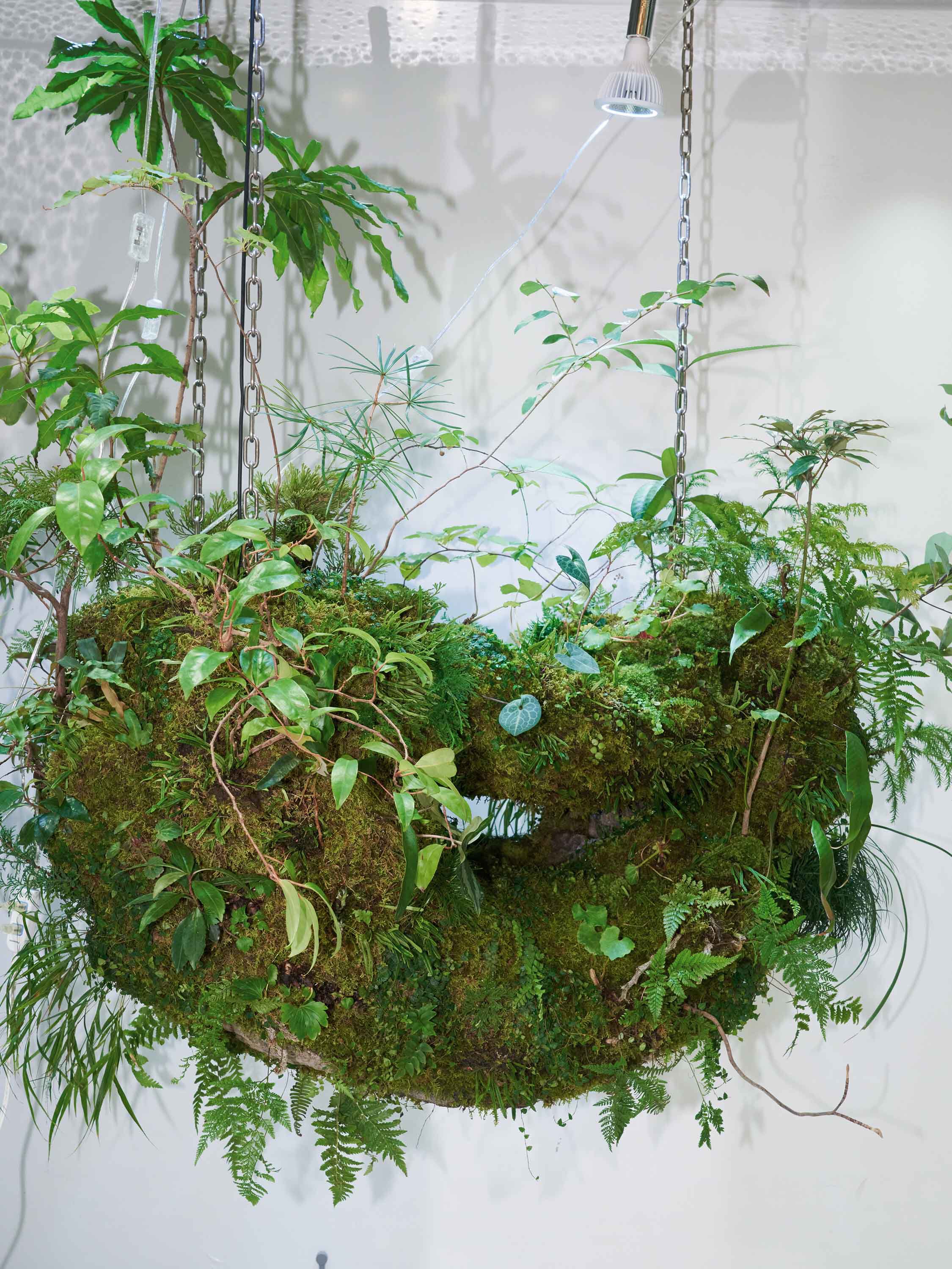 CASA LOEWE Omotesando - LOEWE Stores